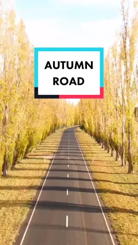 The location vs the shot! 🍁📸 #travelbucketlist #melbourne #travelaustralia #australia #buxton