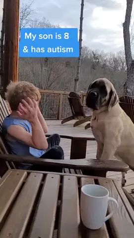 💙🐾💙#autism #englishmastiff #fyp #nc#ItsOurHome #bigpawmastiffs #Love #autismmom