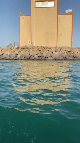 جمال البحر بجزر فرسان.                                         #رضان_كريم #طبيعه_جميله_سبحان_الله_طبيعه_خلابه #سبحان_الله_وبحمده #لايك❤️