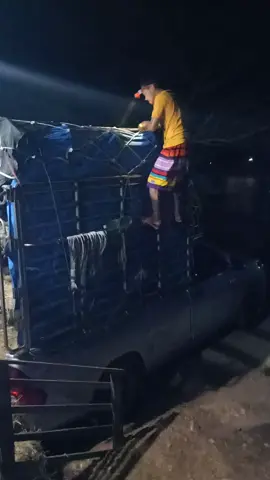 ดูแลกันไปครับ105ชีวิต ปลายทางมาเลเซีย กว่าจะใด้แต่ละบาท  มันไม่ใช่เรื่องง่าย ครับ  ขอให้ปลอดภัยทุกตัว#รถด่วน #เด็กเพชรบุรี #แพะซิ่งวิ่งทั้งปี