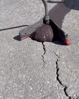 Watch till the end!