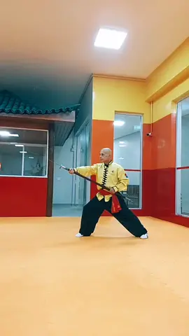 TSKF Kung Fu fragmentos do Pu Dao #kungfu #artesmarciais #tskf