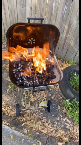 This is for all my women who dnt knw how to grill it’s simple sis I gotcha #howtogrill #womencangrilltoo #summertime #grilling #bbq #women