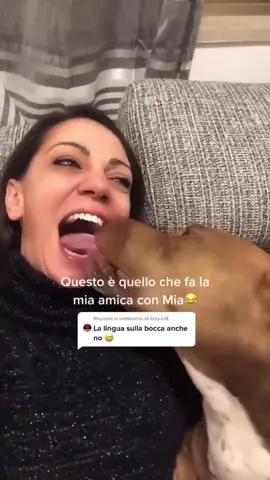 #stitch con @carmenfalascazamp sono già abbastanza stressata😂 #perte #neiperte #stich #viral #dog #pitbull #kisses #omg #commenti #wtf #cosafai
