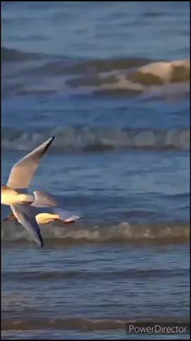 Доброе утро!!!