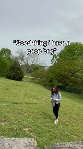 I can’t stop with the poop content #dogsoftiktok