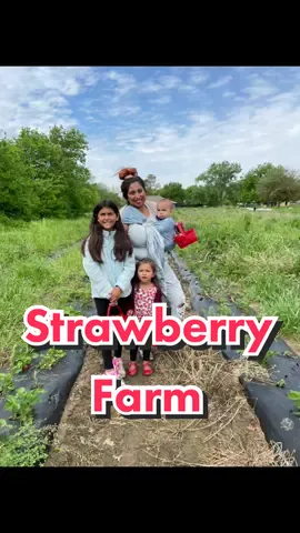 Come pick strawberries with us! #dallasinfluencer #WidenTheScreen #fortworthlovelist #strawberrypicking #momtiktok #dunlapdiaries