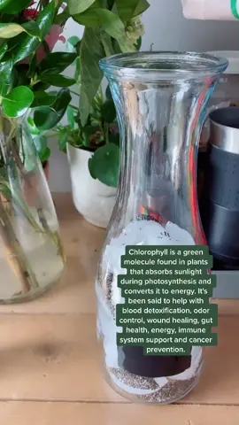 #chlorophyll #chlorophyllwater #fyp