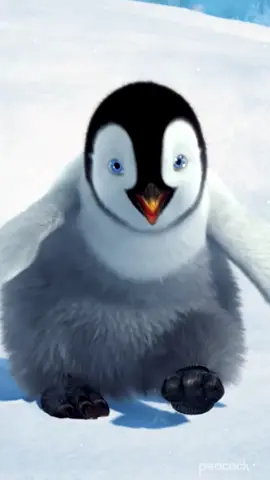 Okay baby penguin, GO OFF 👏🐧 #happyfeet #dance #dancing #funny #penguin #cute #dancechallenge