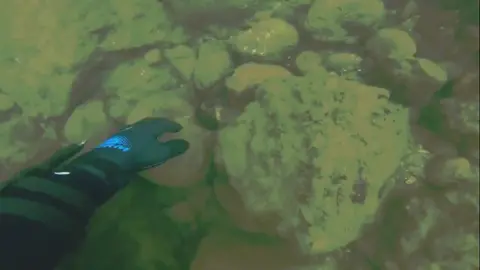 #sea #seaded #thetitanic #submarine #foryou