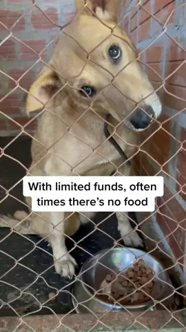 Want to help the animals? Here’s your chance!!!