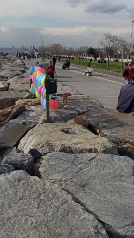 İstanbul Kadıköy sahili
