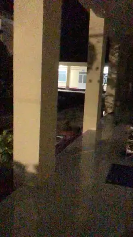 Khỉ hú nữa đêm🤣