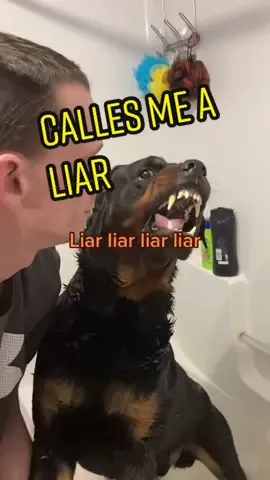 The dog called me a liar. Peanut butter isn’t a treat he said #bearandryan #talkingdog #Destinationdepop #liar #lol #foryou #funny #crazydog #pets #fy