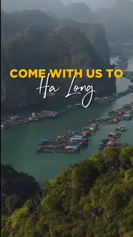 Discover the magic of Ha Long Bay, from towering karsts to floating villages. Video by @oli.langevin. #vietnamnow #halongbay #travelwithme