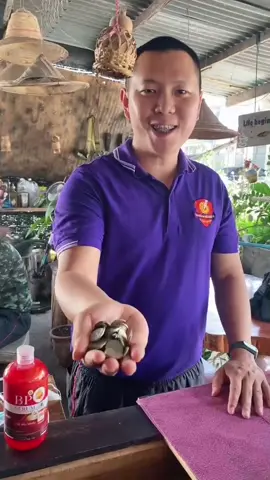 แลกตังเหรียญ #โมเมายากันยุง #เซรั่มไลโคปีนBP #เซรั่มฉีดผิวBP