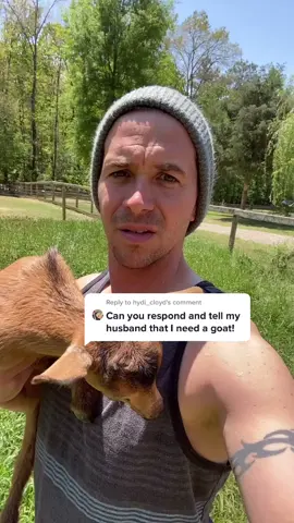 Reply to @hydi_cloyd get her a whole herd!