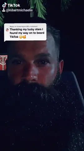 Stay awhile ⚔🤘 #fyp #vikings #beard #beardedbeast #vikingtok