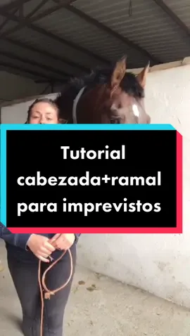 Muy practico para imprevistos #yeguadasantafe #AprendeConTikTok #trucos #campo #caballos