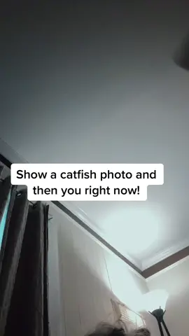 oh WOW 😂 #greenscreen #fypシ #catfish #DoritosDuetRoulette