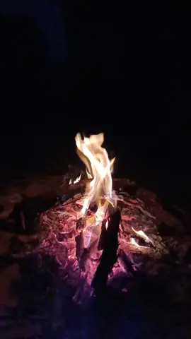 #feu #feudecamp #firecampnight #firecamp #sahara #desert #صحراء #عانيت_صقع_الليل_وانتي_وينك #followmwe #instagram #tik_tok #song