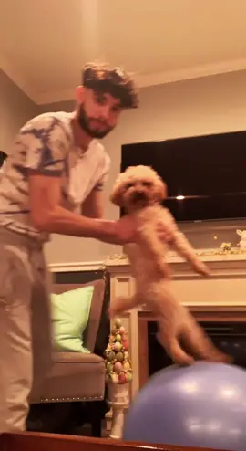 LMAO my sisters boyfriend taking care of our puppy while our family is on vacation 😂😂❤️#ColorCustomizer#fyp#dog#vacation#foryou#viral#