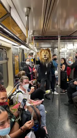 Lion. King. #subwaycreatures #fyp #foryourpage #subway #mta #iloveny #nyc #newyorkcity #newyork #lionking