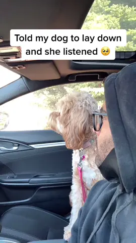 It’s the ending for me 🥺 #cutepet #cutepuppy #petsontiktok