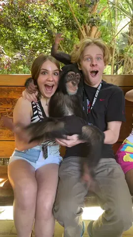 comment your fave animal 🐘 🐅 @myrtlebeachsafari