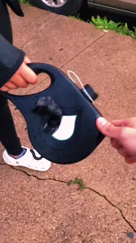 If You Are A Dog Parent You Must Have! 🐶💚 #dogsvideo #doggy #doggo