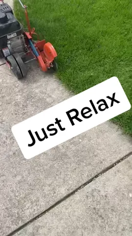 Welcome to the dark side! ☮️☮️#calm #lawncare #lawncare #viral #fypシ #foryoupageofficiall #foryoupage #lawntok #lawnmower #green #grass #SkipTheRinse
