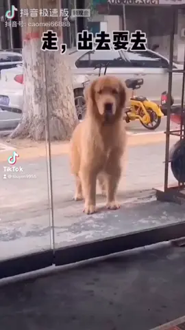 Đã bảo k đi chơi rồi mà cứ rủ quài🥲