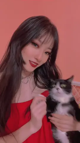 Just some happiness for when you’re scrolling (๑>ᴗ<๑) #cat #catsoftiktok #fypシ