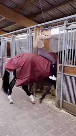 I had to try it 😂 IG: annchen.augustine 💗 #fy #foryou #equestrian