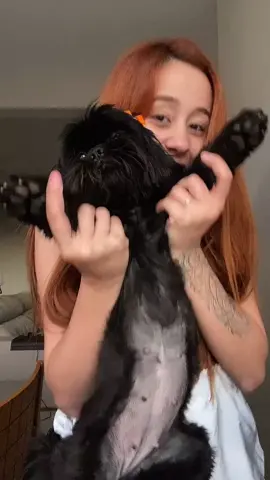 Dança da Hanninha pra vcs Pessoal 😍😂 a @vanessalopesr e a @claragnds estão chorando 🥲 Kkkkkkkk #trend #dog #dancinha #fyp