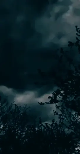 #ammanjordan #explore #follow #راح_تندم #🖤🖤