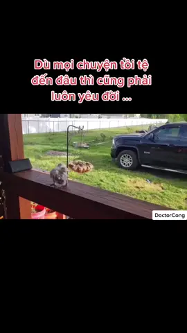 Mọi chuyện tốt đẹp hơn hay tồi tệ đi đều bắt nguồn từ suy nghĩ của bạn. #lạcquan #yêu_đời #sốngchohếtđờithanhxuân #vuilênnào