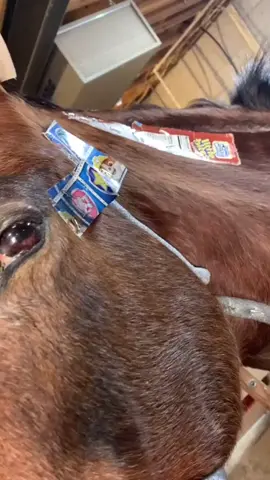 #stitch with @ourdeerlydeparted #wow