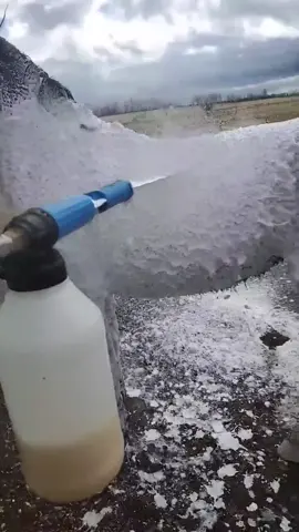Ever seen a horse foamed before? MS HyWash foaming animal shampoo. #horse #horsesontiktok #equestrian #bath #foam ##CleanTok#foamgun #foamcannon #fyp