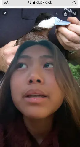 some words of encouragement😻 have a nice day🤠🤙🏼 #positivity #encouragment