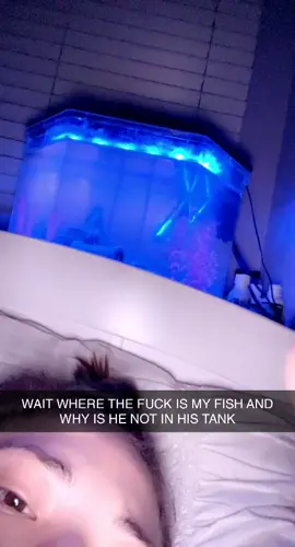 I THINK HE RAN AWAY WHAT THE FUVK