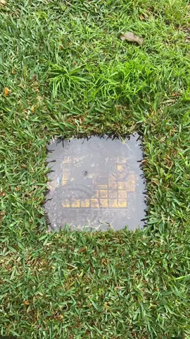 This is exactly why I hate mowing in the rain #lawns #fyp #lawntiktok #lawn #grasstok #hedge #gardensoftiktok #satisfying #garden #sydney