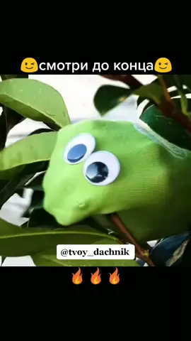 борьба с паразитами на дачном участке 😉(inst: tvoy_dachnik) #дача#огород#лайфхакидача#лайфхаки#длядачи#паразиты#дачнику#огороднику
