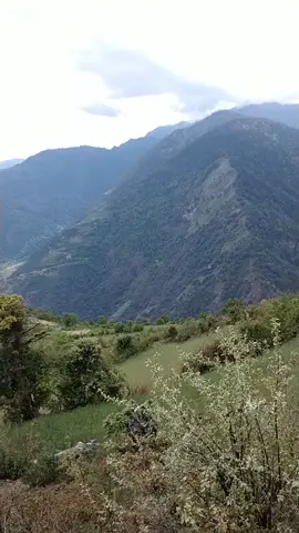 Aaj Jagannatha gaaupalika ko Haakim sir haru sanga ghumna gaiyo🤗🤗🤩🤩🤩