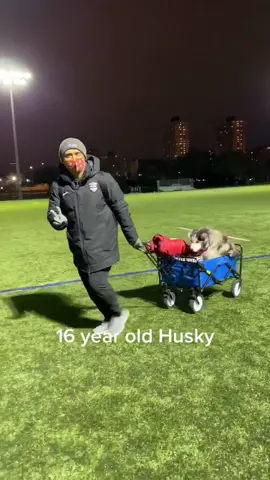 Help our team Mascot Maya the Husky go viral #huskysoftiktok #Soccer #soccerteam #MillionActsofLove