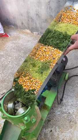 #Mesin #chicken  pelet pakan