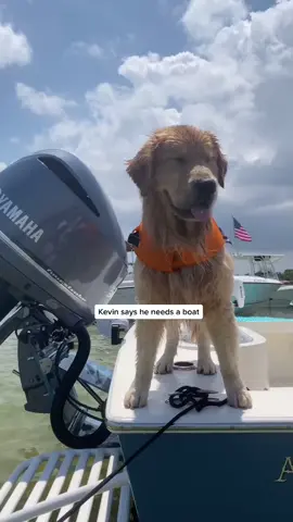 Kevin went boating! #goldenretrievers #boating #boat