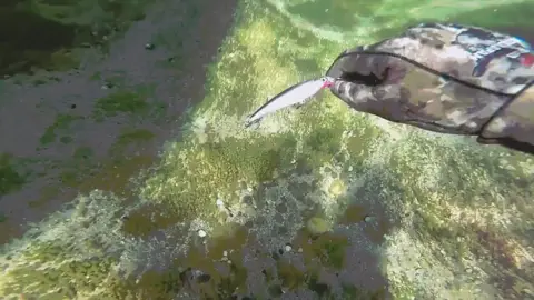 #seaded #sea #thetitanic #submarine #foryou