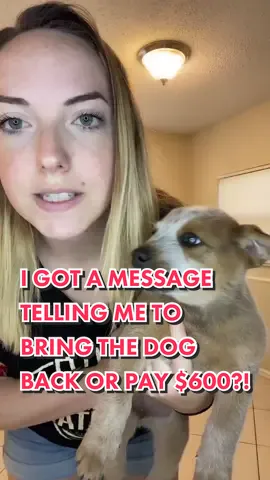 I’ve got pics and videos if anyone wants a part 2 😘😌 #SipIntoSummer #SayQuayNotKway #LoveMeMode #CANTSTOPWONTSTOP #redheeler #backyardbreeder