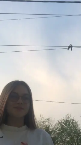 у голубей любовь..